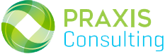 Praxis Consulting – La Empresa