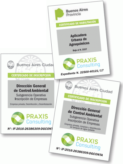 certificados-1-400×530